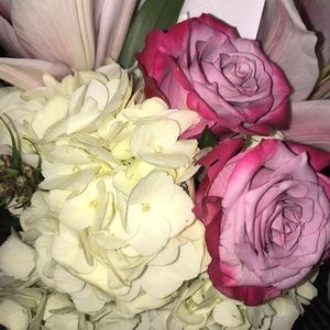 Meet your Posher, Maya